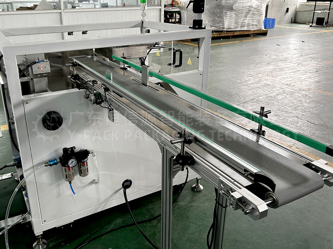 Conveyor-Belt-Of-Boxed-products-2-X-5-Case-Packing-Machine.jpg