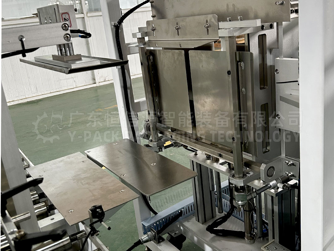 Casing-Mechanism-Of-Boxed-products-2-X-5-Case-Packing-Machine.jpg