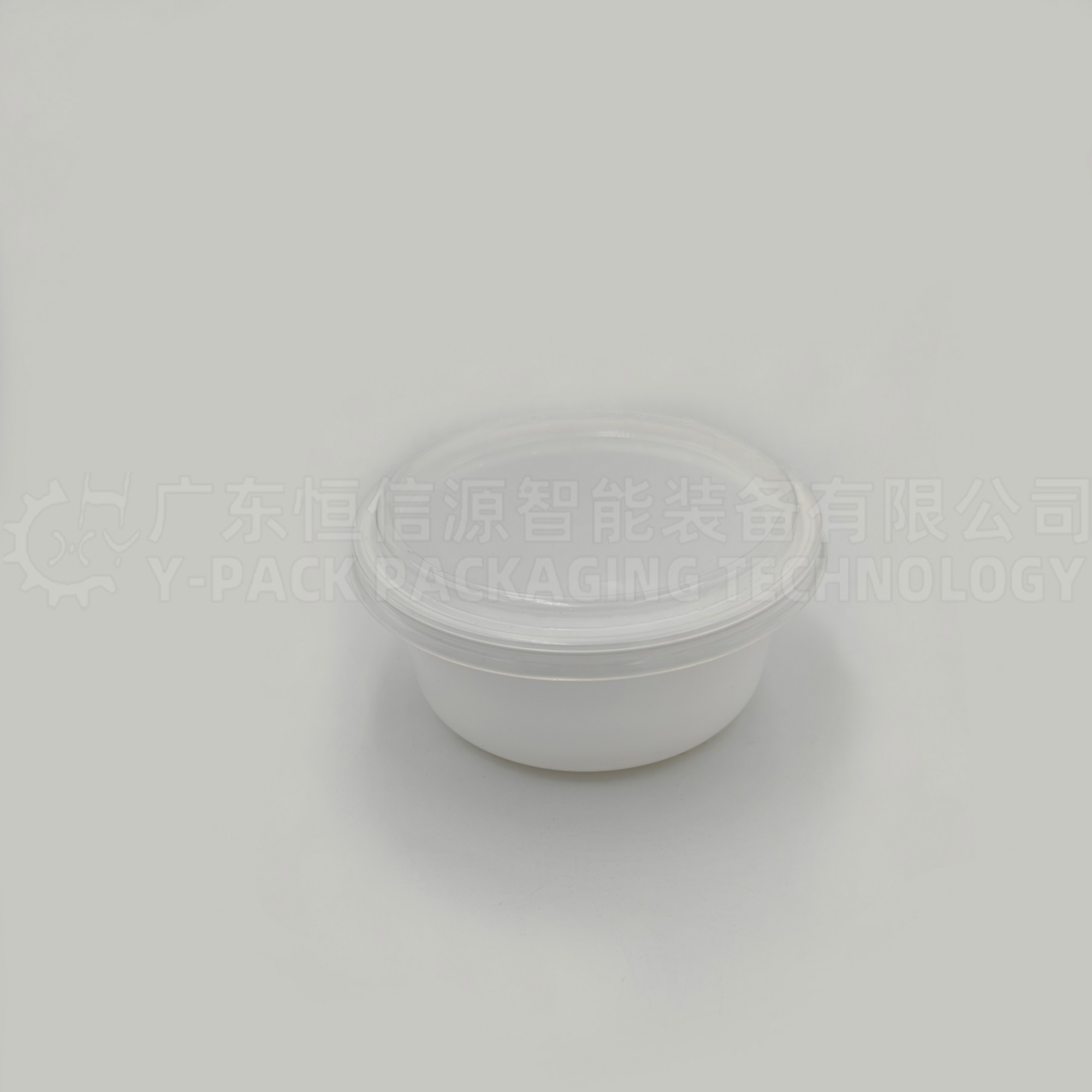 裹包式雪糕装箱机